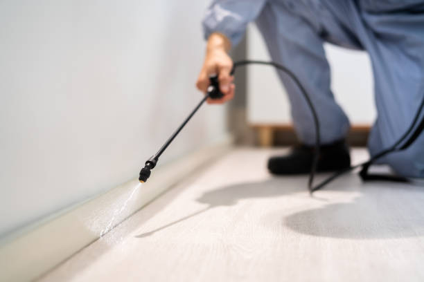 Professional exterminator conducting IPM assessment in Claremore
