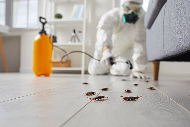 Commercial Rodent Management in Claremore